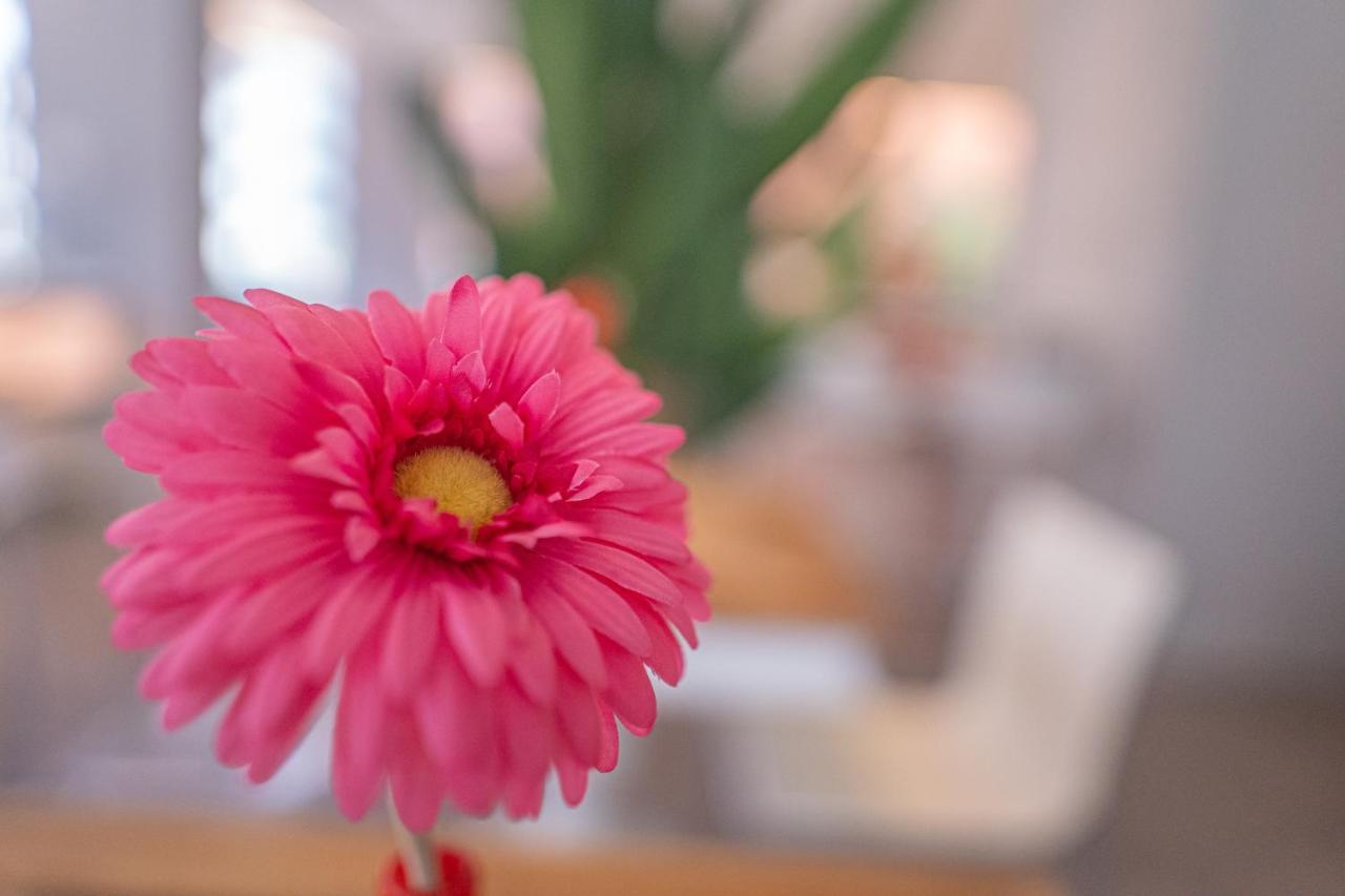 Design Hotel Astra B&B Misano Adriatico Bagian luar foto
